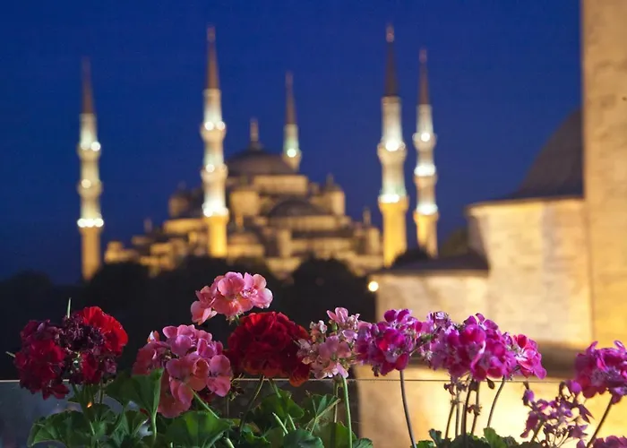 No20 Sultanahmet Hotell 3*