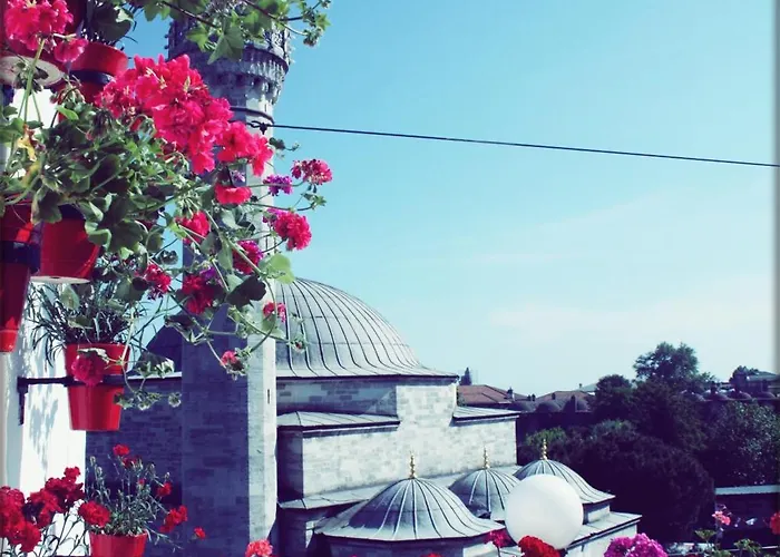 No20 Sultanahmet Hotell 3*