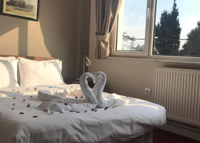 No20 Sultanahmet Hotell 3*